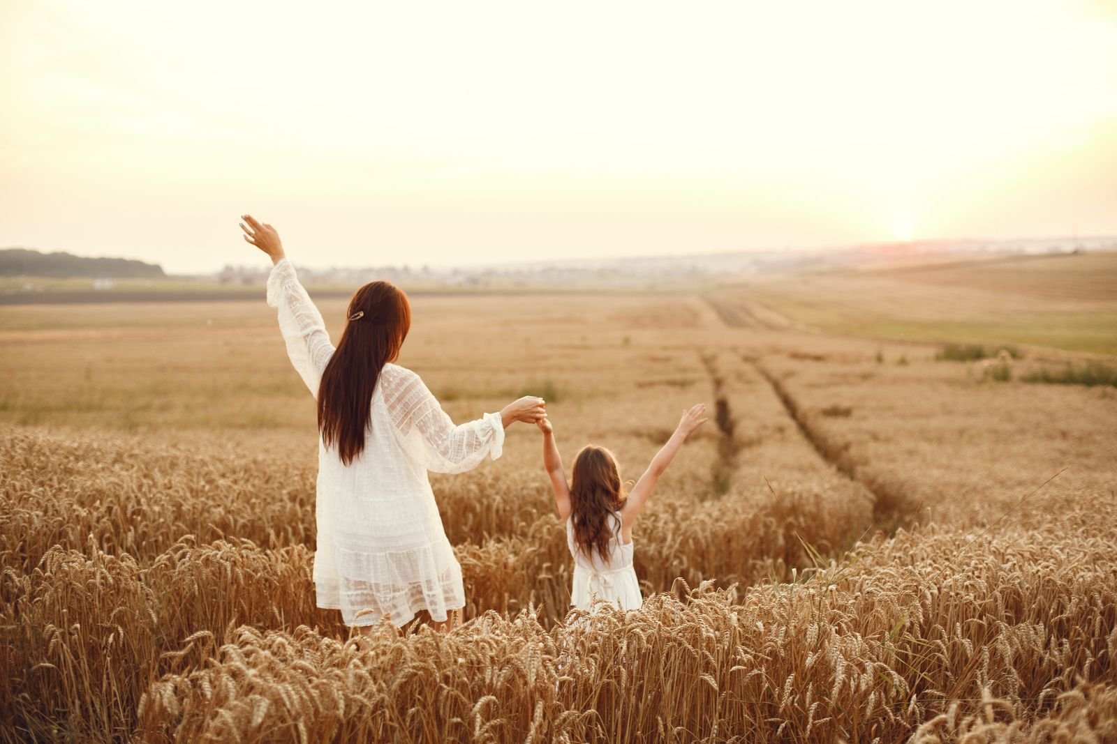 Wheat field under a warm sky, illustrative stock photo